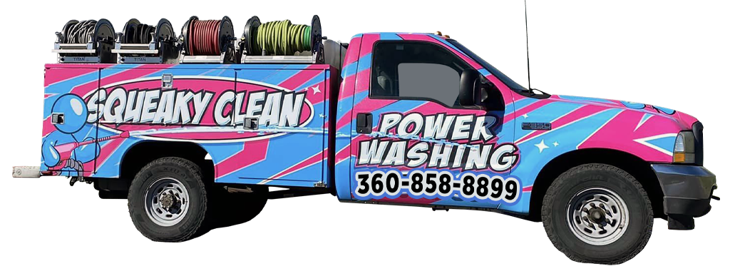 Squeaky Clean Services Window Cleaning